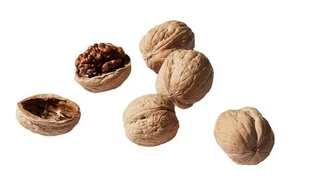 A bunch of walnuts one of them is split isolate on a white background Stock Photos