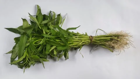 A Bunch of Water Spinach on White Stock Footage 297198344