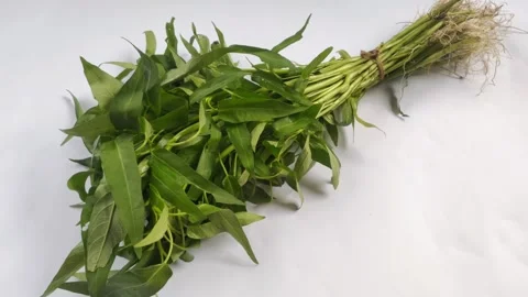 A Bunch of Water Spinach on White Stock Footage 297198347