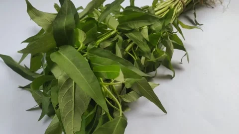 A Bunch of Water Spinach on White Stock Footage 297198364
