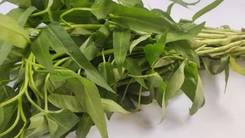 A Bunch of Water Spinach on White Stock Footage 297198375