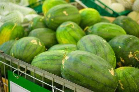 Bunch of watermelons on plastic boxes in store Stock Photos