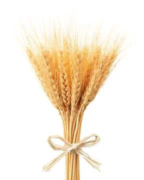 Bunch of wheat ears Stock Photos