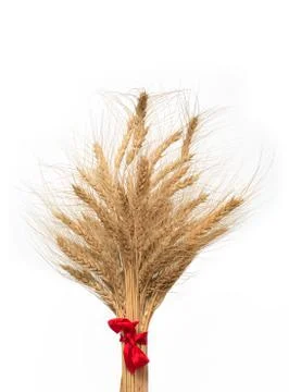 Bunch of wheat Stock Photos