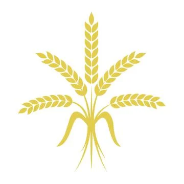 Bunch of wheat on white background. Vector illustration. Illustrazione stock