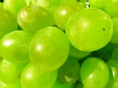 Bunch of white grape close-up Stock Photos