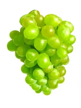 Bunch of white grape close-up Stock Photos