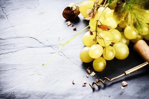 Bunch of white grape with grapevine Photos