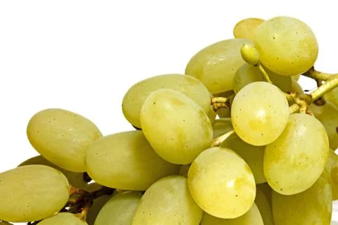 Bunch of white grapes Stock Photos