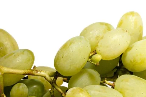 Bunch of white grapes Stock Photos