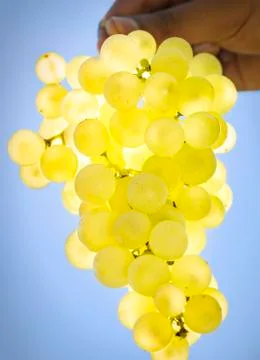 Bunch of white grapes Stock Photos
