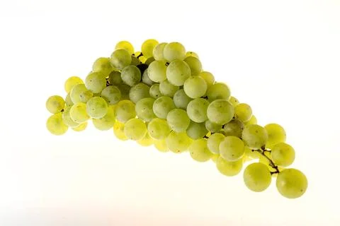 Bunch of white grapes Stock Photos