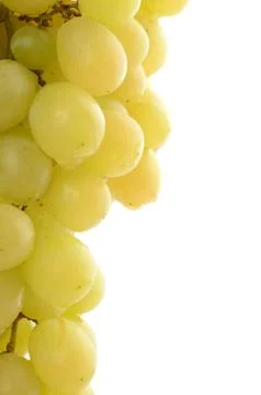 Bunch of white grapes with text space Stock Photos
