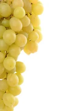 Bunch of white grapes with text space Stock Photos
