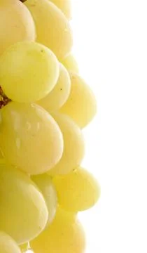 Bunch of white grapes with text space Stock Photos