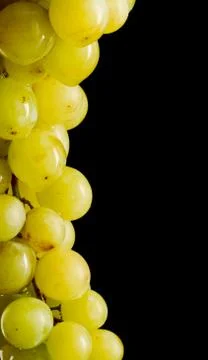 Bunch of white grapes with text space Foto stock