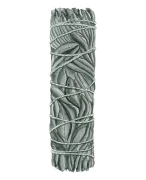 A bunch of white sage leaves Stock Illustration