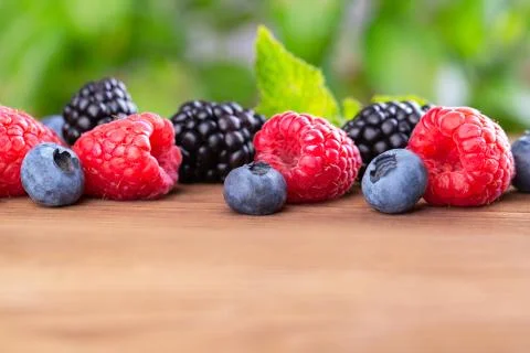 A bunch of wild berries Stock Photos