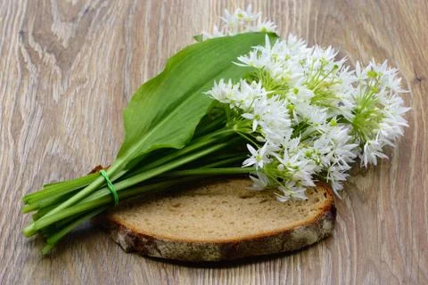 Bunch of wild garlic on slice of bread at table. top view Stock Photos