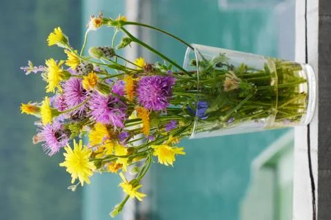 Bunch of wildflowers Stock Photos