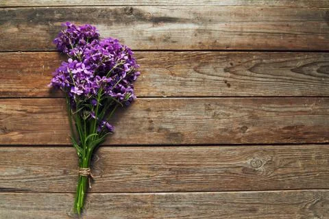 Bunch of willow-herb Stock Photos