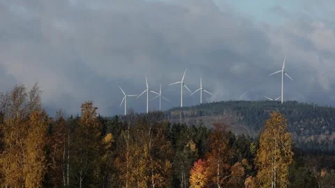 A bunch of wind turbines on the other side of the lake Stock Footage 245434716