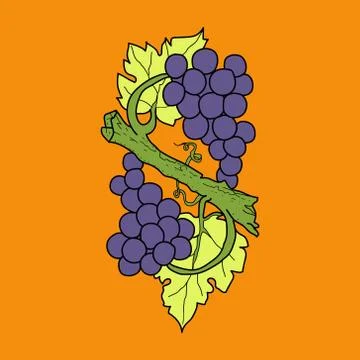 Bunch of wine grapes with leaf flat purple vector Stock Illustration