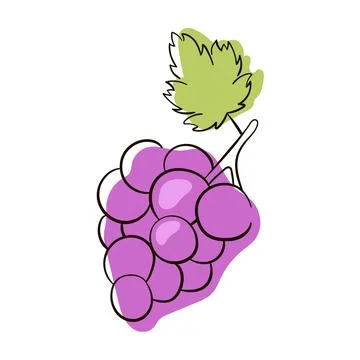 Bunch of wine grapes with leaf flat purple vector icon. Hand drawn grapes sketch Stock Illustration
