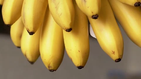 Bunch of Yellow Bananas Top View Stock Footage 293208060