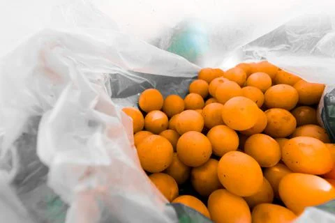A bunch of yellow cherry plum in a plastic bag. Harvesting. Stock Photos