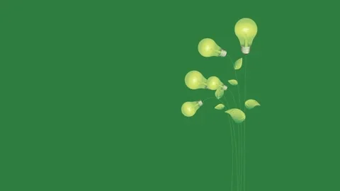 A bunch of yellow flowers on green background and screen with light bulb it Stock Footage 336893339