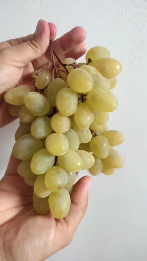 A bunch of yellow grapes in hands close-up Stock Footage 282305282