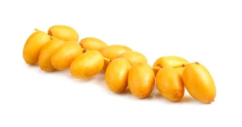 Bunch of yellow raw date fruit or medjool dates (Phoenix dactylifera) from th Stock Photos