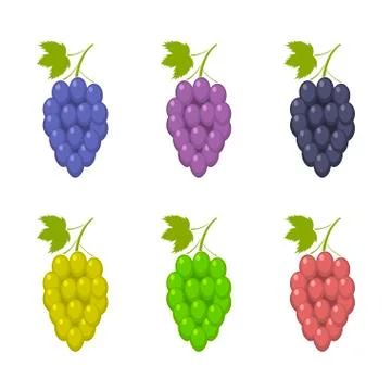 Bunche of grape set Stock Illustration