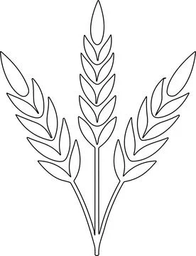 Bunche of wheat or rye ear with whole grain. Wheat wreath and grain spikes .. Stock Illustration