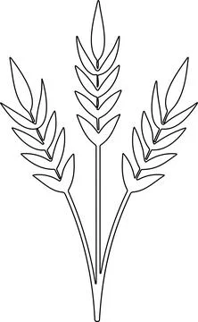 Bunche of wheat or rye ear with whole grain. Wheat wreath and grain spikes .. Stock Illustration