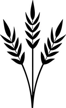 Bunche of wheat or rye ear with whole grain. Wheat wreath and grain spikes .. Stock Illustration
