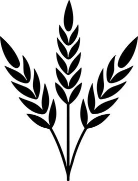Bunche of wheat or rye ear with whole grain. Wheat wreath and grain spikes .. Stock Illustration