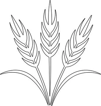 Bunche of wheat or rye ear with whole grain. Wheat wreath and grain spikes .. Stock Illustration