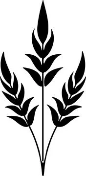 Bunche of wheat or rye ear with whole grain. Wheat wreath and grain spikes .. Stock Illustration