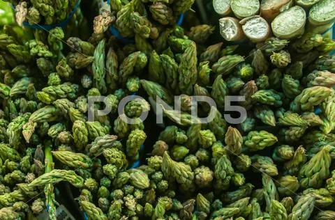Bunches of asparagus on display at the farmers market Stock Photos