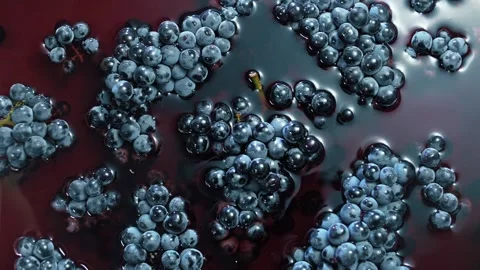Bunches of black grapes lying in crs grape juice. Stock Footage 268743969