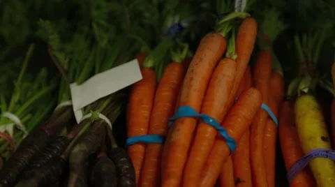 Bunches of Carrots Video stock 42711000