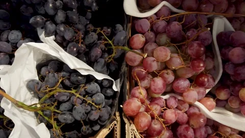 Bunches of red and black table grapes with white protection bands Stock Footage 248818550
