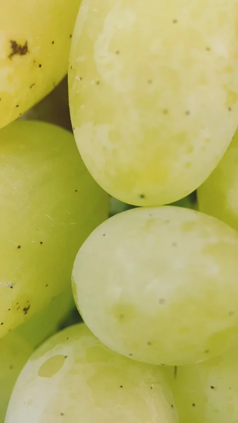 Bunches of red and white grapes Stock Footage 254584442