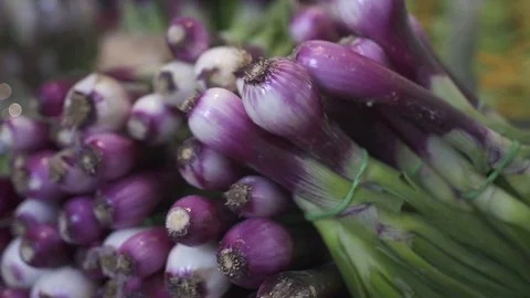 Bunches of red onions Stock Footage 82255137