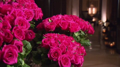 Bunches of roses of Marakech Stock Footage 73699178