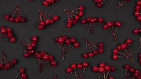 Bunches of small red apples lie chaotically on a rotating black background. 4k. Stock Footage 217672810