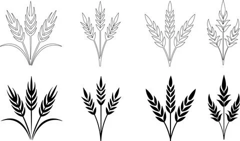 Bunches of wheat or rye ears with whole grain. Wheat wreaths and grain spik.. Stock Illustration