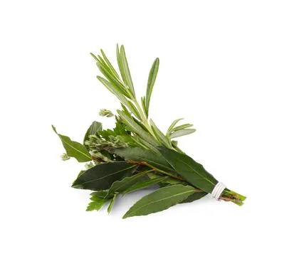 Bundle of aromatic bay leaves and different herbs isolated on white Stock Photos